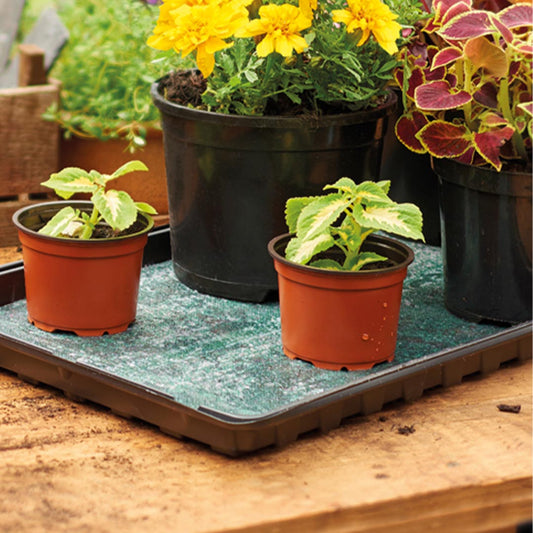 Grow it - Bewässerung Substrat f/ Pflanzschale 32x18 cm 5er-Pack